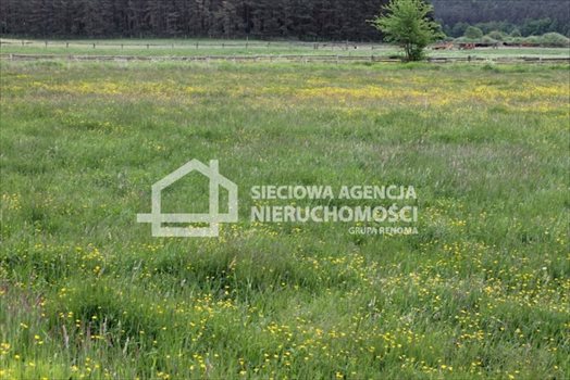 Działka budowlana na sprzedaż Lubowidz 1 066m2 Foto 6
