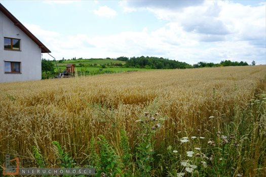 Działka budowlana na sprzedaż Bębło 2 900m2 Foto 2