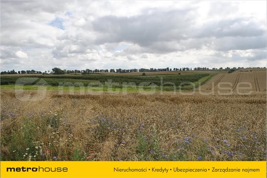 Działka inna na sprzedaż Malbork, Malbork 969m2 Foto 5