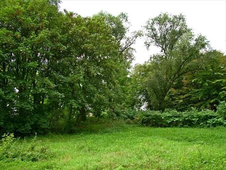 Dom na sprzedaż Srocko Wielkie, Srocko Wielkie 450m2 Foto 5