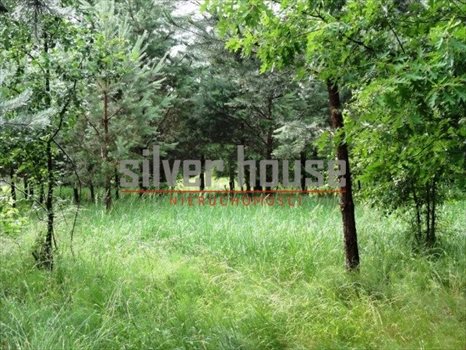 Działka budowlana na sprzedaż Puste Łąki 920m2 Foto 6