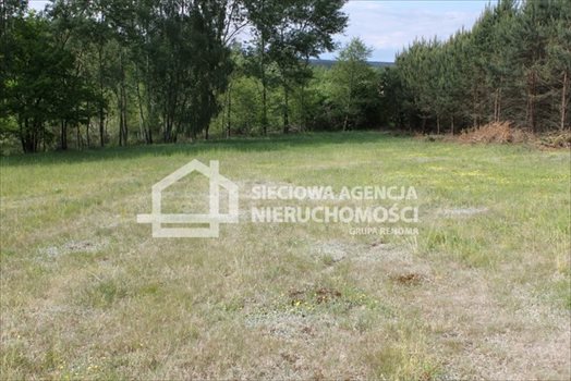 Działka budowlana na sprzedaż Lubowidz 950m2 Foto 11