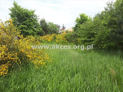 Działka budowlana na sprzedaż Jesówka 1 400m2 Foto 9