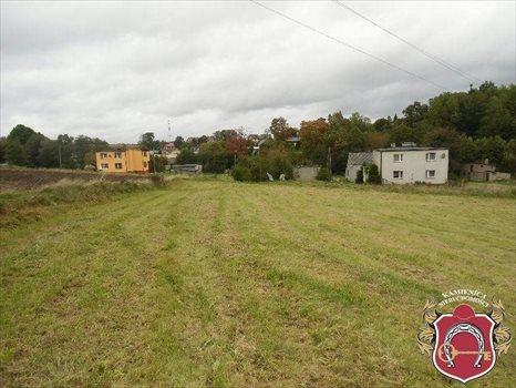 Działka budowlana na sprzedaż Donimierz, Otalerzyńska 30 333m2 Foto 2