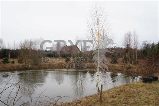 Działka inna na sprzedaż Wielichowo 5 600m2 Foto 9