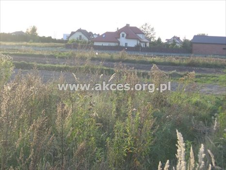 Działka budowlana na sprzedaż Nowa Wola 1 000m2 Foto 6