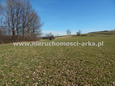 Działka budowlana na sprzedaż Skrzydlna 1 868m2 Foto 3