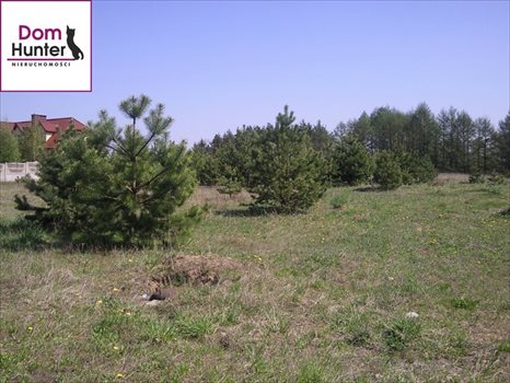Działka budowlana na sprzedaż Gołubie 1 000m2 Foto 4