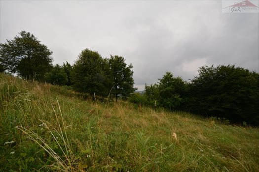 Działka rekreacyjna na sprzedaż Morochów 742m2 Foto 1