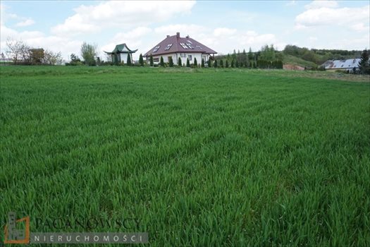 Działka budowlana na sprzedaż Cianowice Duże 2 990m2 Foto 3
