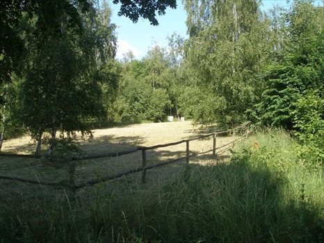 Działka rekreacyjna na sprzedaż Parlino 940m2 Foto 5
