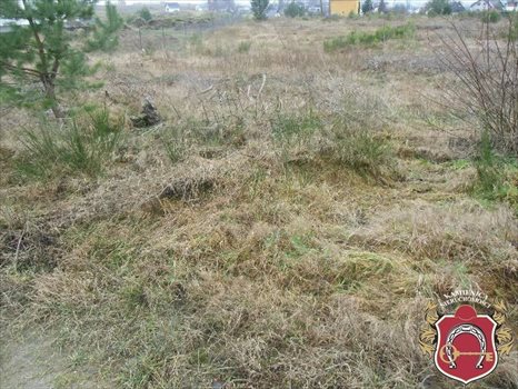Działka budowlana na sprzedaż Robakowo 1 281m2 Foto 1