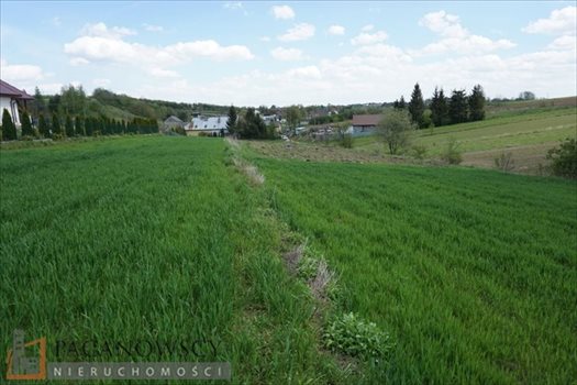 Działka budowlana na sprzedaż Cianowice Duże 4 006m2 Foto 8