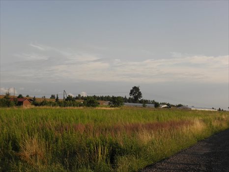 Działka budowlana na sprzedaż Pisarzowice 4 100m2 Foto 4