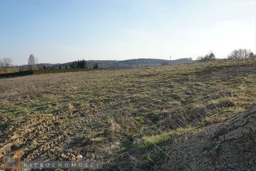 Działka budowlana na sprzedaż Młodziejowice 1 200m2 Foto 3
