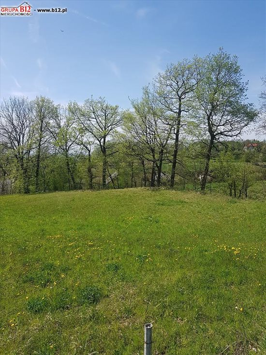 Działka budowlana na sprzedaż Balice, Balice, Radziwiłłów 900m2 Foto 4