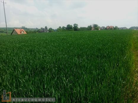 Działka budowlana na sprzedaż Masłomiąca 1 200m2 Foto 7
