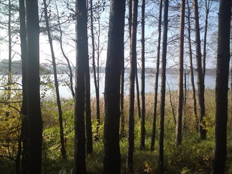 Działka siedliskowa na sprzedaż Krucz, Gminna 1 400m2 Foto 5