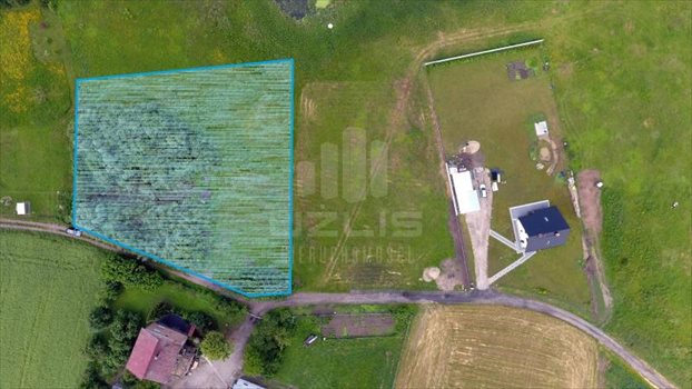 Działka inna na sprzedaż Gołębiewko 3 011m2 Foto 5