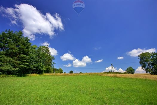 Działka budowlana na sprzedaż Roztropice 3 500m2 Foto 6