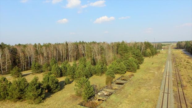 Działka inwestycyjna pod dzierżawę Czerwony Bór 10 000m2 Foto 8
