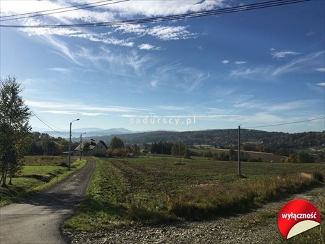 Działka budowlana na sprzedaż Dobranowice 4 500m2 Foto 1
