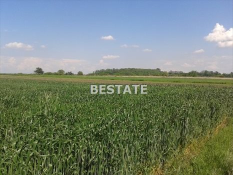 Działka budowlana na sprzedaż Wielka Wieś, Modlnica 750m2 Foto 4