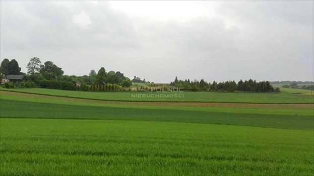 Działka inna na sprzedaż Poręba Dzierżna 14 996m2 Foto 4