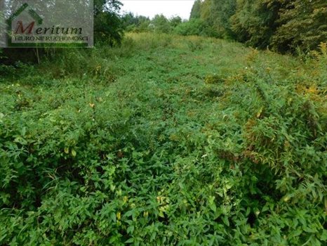 Działka budowlana na sprzedaż Nowy Sącz 802m2 Foto 2