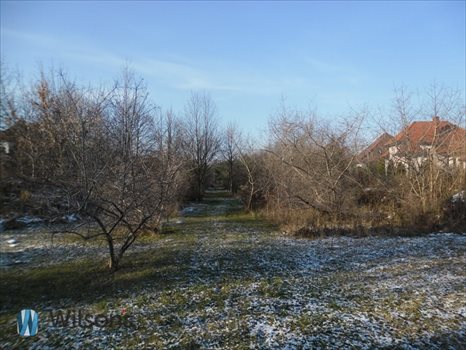 Działka budowlana na sprzedaż Warszawa, Wilanów Powsin, Zapłocie 1 000m2 Foto 4