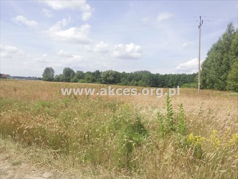 Działka rolna na sprzedaż Pawłówka 71 900m2 Foto 7