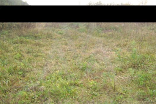 Działka budowlana na sprzedaż Kębłowo, Topolowa 813m2 Foto 1