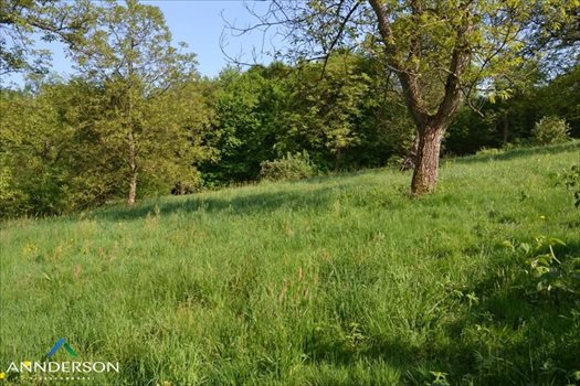 Działka budowlana na sprzedaż Kraków, Zwierzyniec 2 960m2 Foto 5