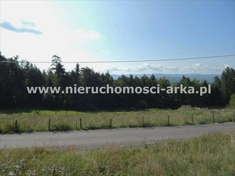 Działka budowlana na sprzedaż Mszana Dolna 7 500m2 Foto 1