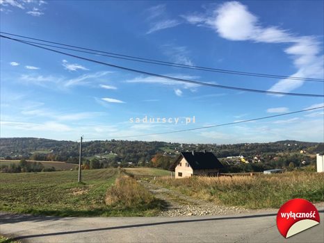 Działka budowlana na sprzedaż Dobranowice 4 500m2 Foto 3
