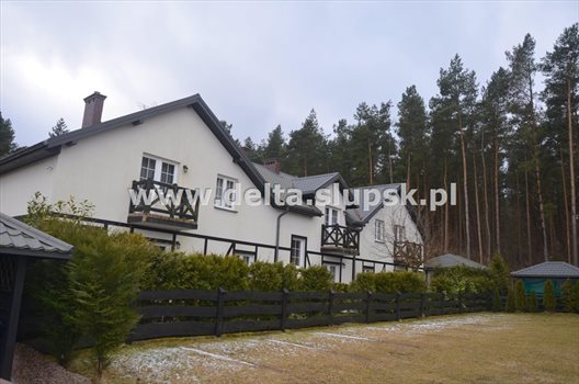 Lokal użytkowy na sprzedaż Dębina 337m2 Foto 2