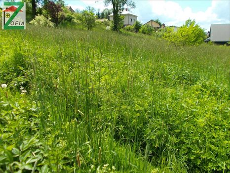 Działka budowlana na sprzedaż RABKA-ZDRÓJ 1 400m2 Foto 4
