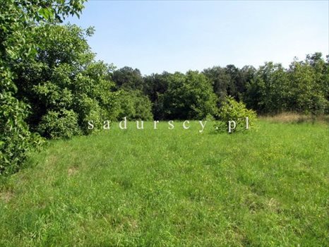 Działka budowlana na sprzedaż Kraków, Krowodrza, Wola Justowska, Orla 5 766m2 Foto 9