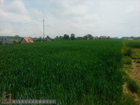 Działka budowlana na sprzedaż Masłomiąca 1 200m2 Foto 4