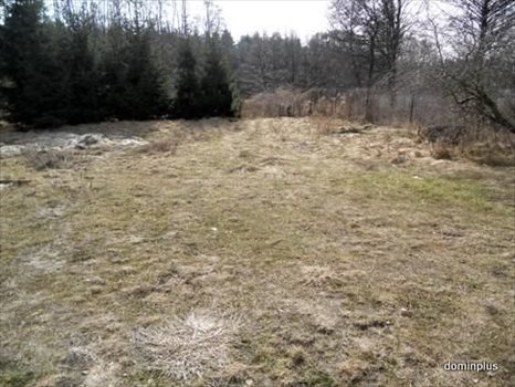 Działka inna na sprzedaż Brzozówka 3 500m2 Foto 1