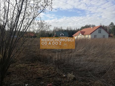 Działka budowlana na sprzedaż Otwock 6 500m2 Foto 4