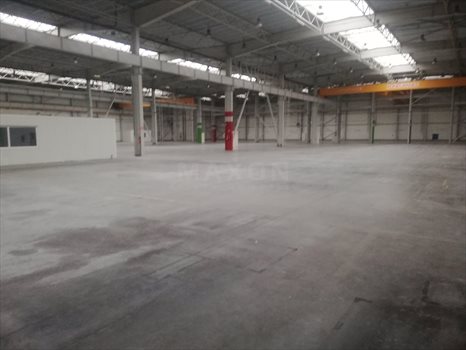 Lokal użytkowy na wynajem Bydgoszcz, ul. Hermana Frankego 3 700m2 Foto 7