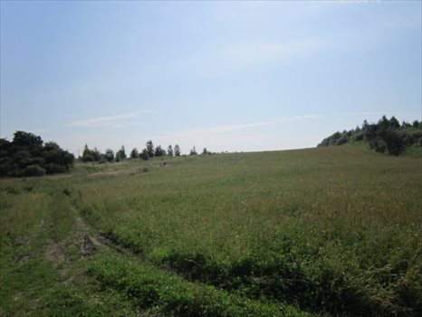 Działka przemysłowo-handlowa na sprzedaż Jankowo Gdańskie, Tereny przemysłowe, Blisko Obwodnicy 27 300m2 Foto 4