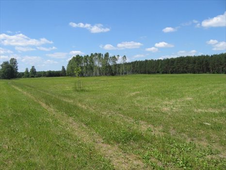Działka rolna na sprzedaż Warkały 16 606m2 Foto 4