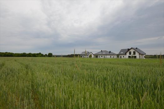 Działka budowlana na sprzedaż Bojano, Las, Tereny rekreacyjne, Lesoki 1 500m2 Foto 6