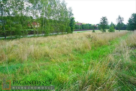 Działka budowlana na sprzedaż Michałowice 2 000m2 Foto 3