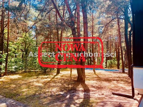 Dom na sprzedaż Wyszków, Deskurów 180m2 Foto 4