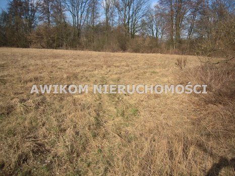 Działka budowlana na sprzedaż Skierniewice, Ruda 4 600m2 Foto 3