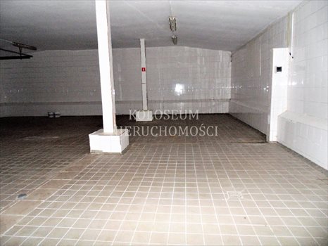 Lokal użytkowy na sprzedaż Łysomice 12 900m2 Foto 6