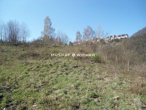 Działka budowlana na sprzedaż Gdynia, Grabówek 1 157m2 Foto 2
